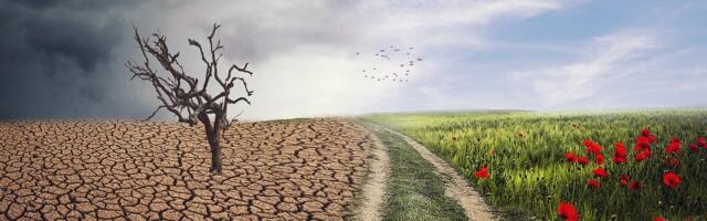 Can AI Help Farmers Tackle the Threats Posed by Climate Change and Supply Demands?