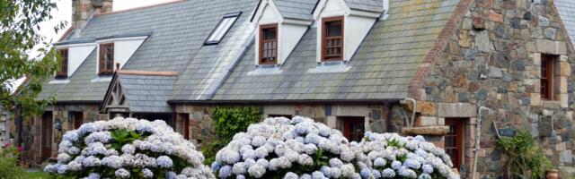 Booking Holdings Is ‘Underappreciated’ In 3 Ways, CFO Says