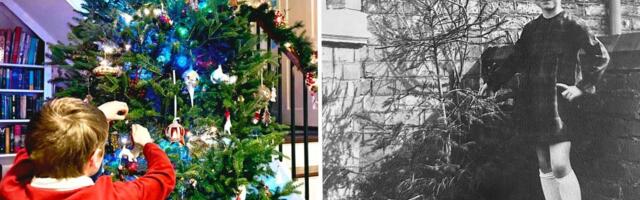 I wanted a big festive tree this year. I wasn't expecting the $370 price tag at our local tree lot.