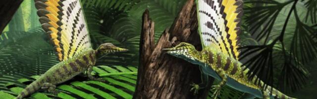 Adorable Triassic Reptile Used its Freaky Back Fin to Communicate