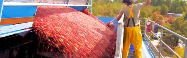 How Americans spend $2 billion on food for Thanksgiving