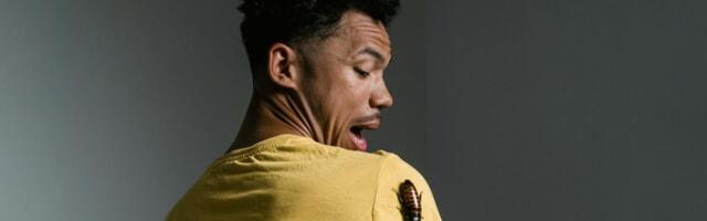 Research suggests that people who feel physically uncomfortable receiving compliments aren’t awkward. Their nervous system learned to treat positive attention as the thing that usually came right before conditions were attached.