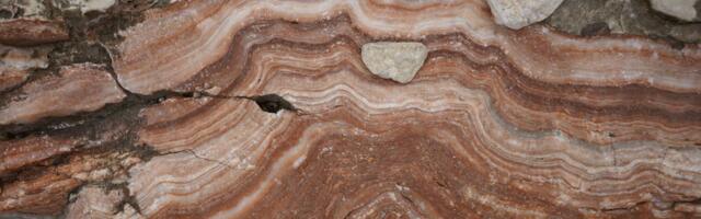 The Boring Billion is the name geologists give to the stretch between roughly 1.8 and 0.8 billion years ago, when low-oxygen oceans slowed complex life — but evolution did not pause and Earth was not simply a billion years of slime