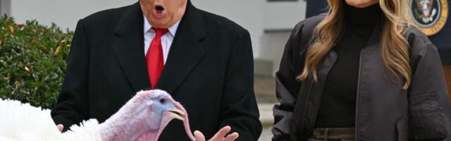 Trump Questions Whether Turkeys He Pardoned Are Really MAHA Because They’re ‘Fat’