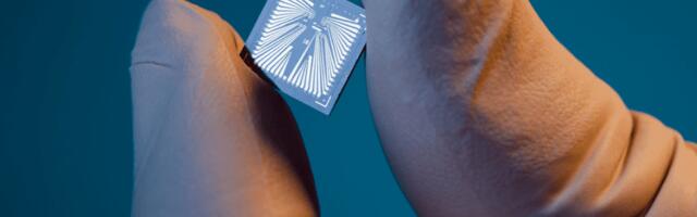 Xsensio’s wearable chip that analyses proteins and hormones in real time draws €6 million