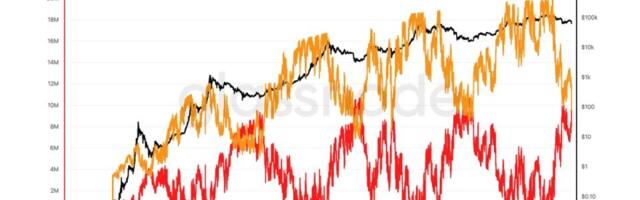 This bitcoin metric has marked every bear market bottom, and it's just flashed again