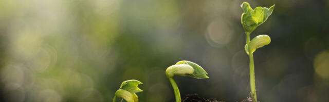 Sustainable & Purposeful Startups: 12 Leader Insights Sustainable & Purposeful Startups: 12 Leader Insights
