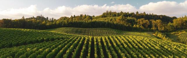 Proba secures €1M to decarbonise agritech through insetting