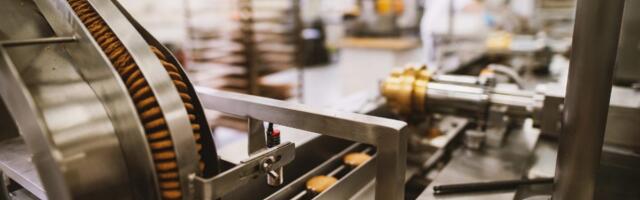 Dutch-based TWINport360 raises funding to provide autonomous quality sorters for industrial bakeries