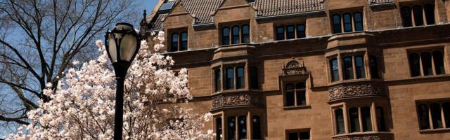 Yale Suspends Palestine Activist After AI Article Linked Her to Terrorism