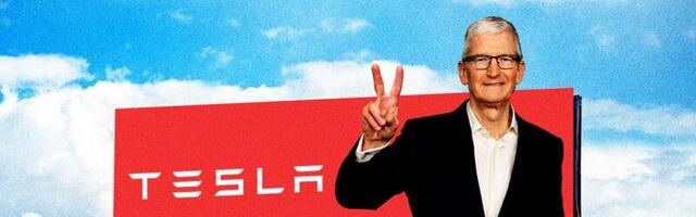 Elon Musk needs a 'Tim Cook' to run Tesla