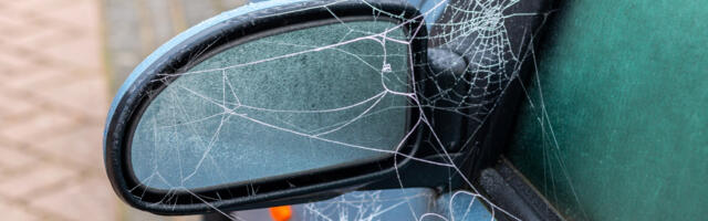 How To Keep Spiders And Other Bugs From Making Your Car Their Winter Home