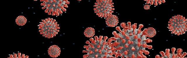 Analyses of the relation between people’s mobility and SARS-CoV-2 spread revealed three groups of countries