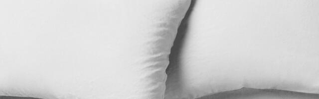 Tuft & Needle Is Offering a Free Pillow Set With Mattress Purchase