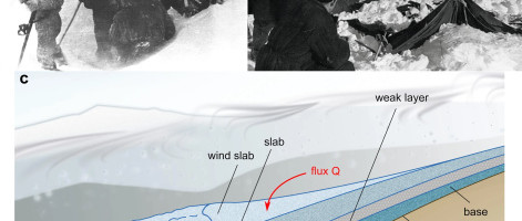 ‘Frozen’ CG snow and crash-test cadavers offer hints for 60-year-old Russian mystery deaths