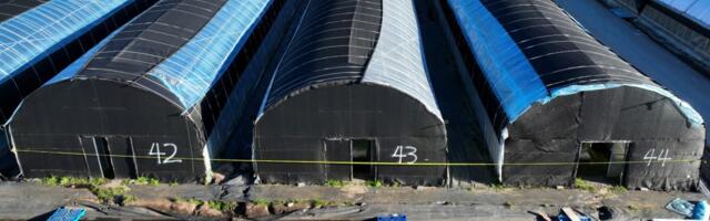 Half Moon Bay shooting victim, families sue mushroom farm, alleging wrongful death