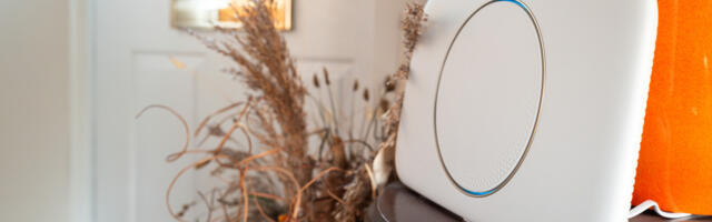 Can You Get Bed Bugs From Rented Internet Routers? What You Need To Know