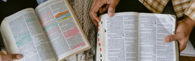 Challenges and opportunities for Ireland in new Hays Global Talent Tracker