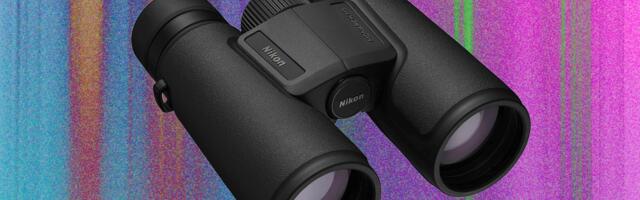 Best Binoculars (2025): Zeiss, Swarovski, Leica