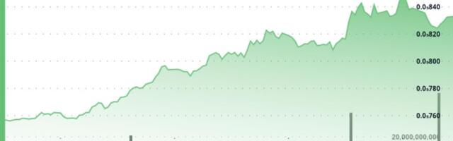 BONK jumps more than 10% in 24 hours as momentum pushes price higher