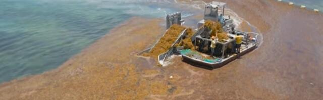 Satellites Found A 'Brown Ribbon' Near Africa – Now Scientists Are Sounding Alarms