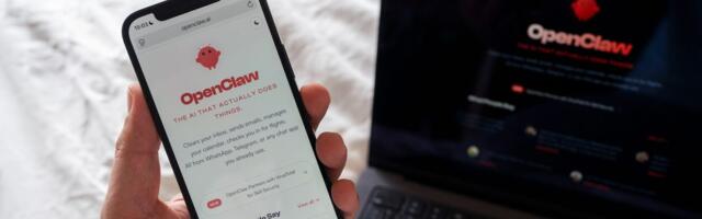 A startup founder explains why she built 9 AI employees: 'I am a breathless OpenClaw bro'