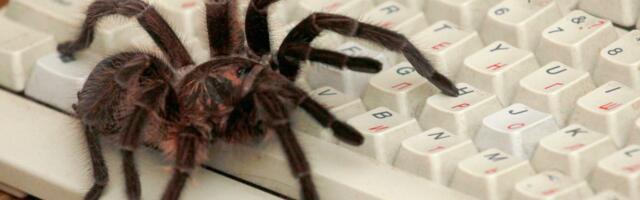 Anthropic and OpenAI are crawling the web even more and not giving much back