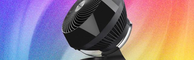 The 11 Best Fans to Buy Before It Gets Hot Again (2026)