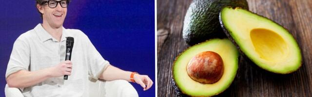 From Garlic to Avocado: The goofy AI model codenames you should know