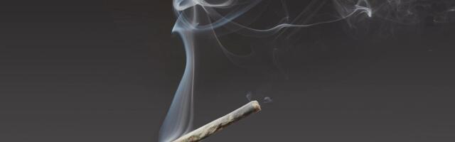 I Tried an Air Purifier Designed to Filter Out Weed and Cigarette Smoke