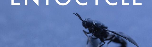 No fly in the ointment here as Entocycle raises $5 million