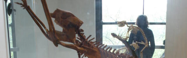 The first people to set foot in Australia were fossil hunters