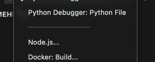 Отладка python приложения в docker из vsc