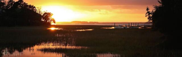 Alex Murdaugh stands guilty of killing his wife and son. That’s just scratching the surface.