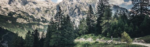Ecobase secures €2.5M seed funding to unlock carbon finance for European landowners