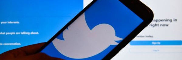 Twitter may let users choose how to crop image previews after bias scrutiny