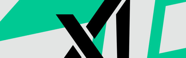 xAI could soon have its own app