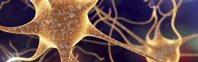 Unholy Union: Scientists are now trying to power AI using human brain cells