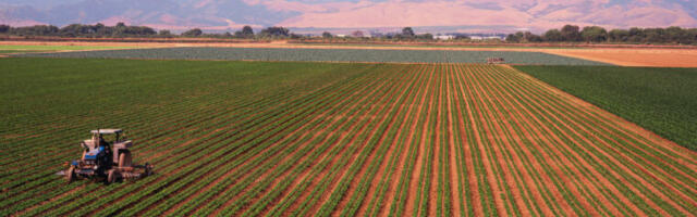 Nitrogen-using bacteria can cut farms’ greenhouse gas emissions 