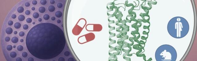 This Novel Substance Might One Day Block Severe Inflammatory Reactions Like IBS and Asthma