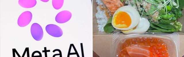 I asked Meta's new Muse Spark AI to judge my lunch and give me recipes for dinner, and it mostly delivered