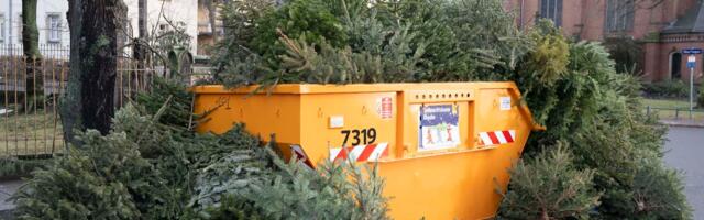 Belgian Authorities to the Public: Please Don’t Eat Your Old Christmas Tree