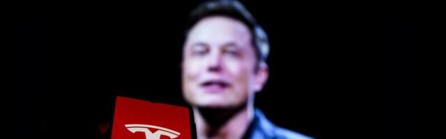 Tesla UK market share falls amid record month for EV sales