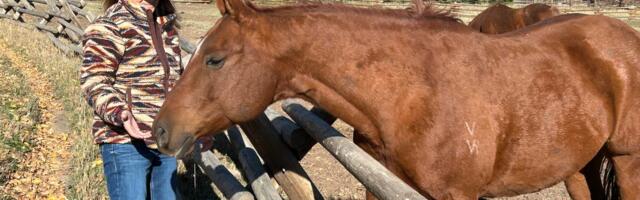 I was so burned out at work that I couldn't relax on vacation. It was the wake-up call I needed.