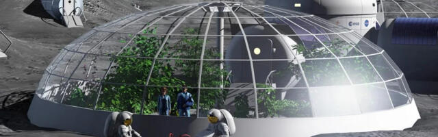 Лунный нут: модификация лунного реголита для выращивания растений