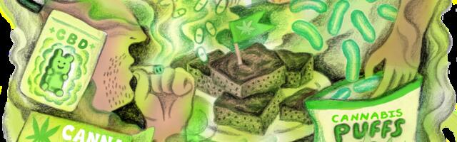 How weed won over America