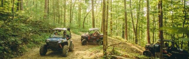Lost in the Woods, Saved by ChatGPT