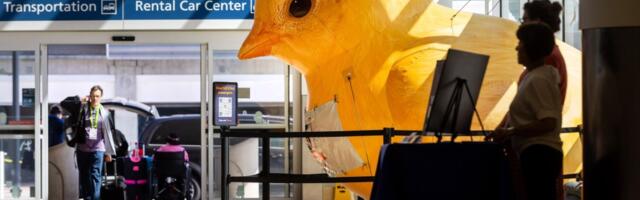 Why an inflatable baby chick is San Jose airport’s 75th anniversary mascot