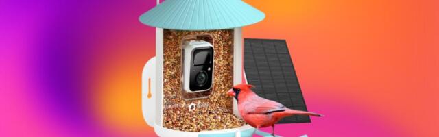 With $85 Off at Amazon, This Smart Bird Feeder Is a Cheep Buy This Black Friday