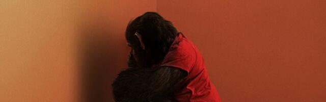 The First Trailer for ‘Primate’ Is the ‘Nope’ Opening on Simian Steroids